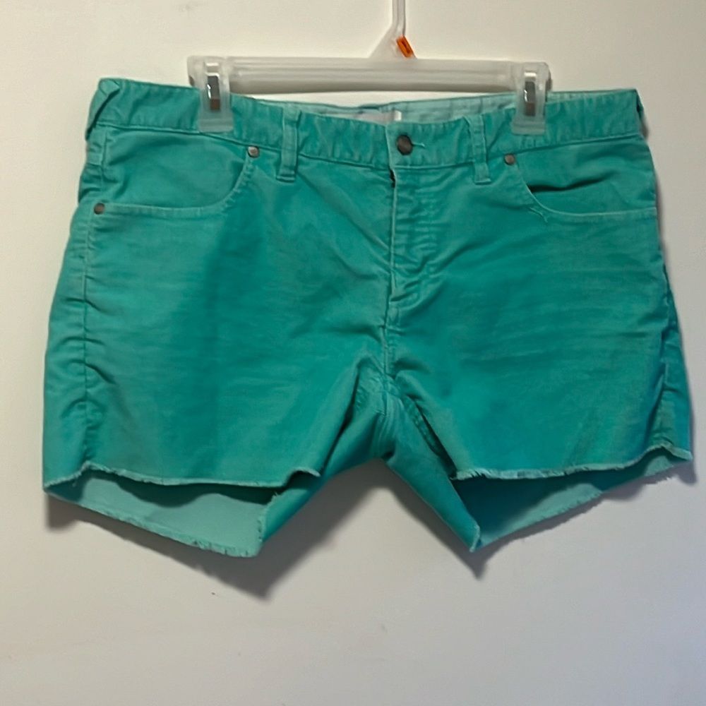 Carve Designs Teal Women's Jean Shorts